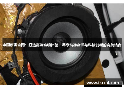 中国摩雷官网：打造高端音响体验，尽享纯净音质与科技创新的完美结合