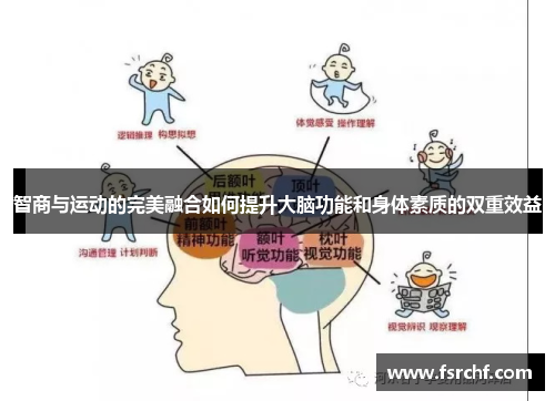 智商与运动的完美融合如何提升大脑功能和身体素质的双重效益