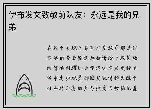 伊布发文致敬前队友：永远是我的兄弟
